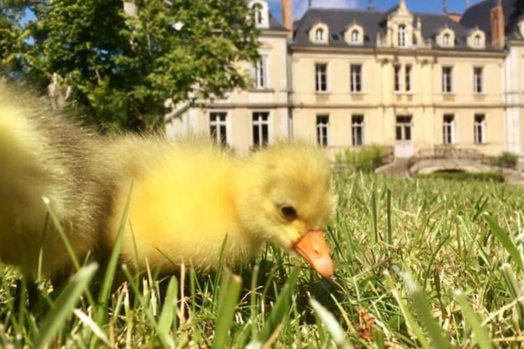 Maison A Colombages Pres De Deauville, Trouville Formentin Zewnętrze zdjęcie